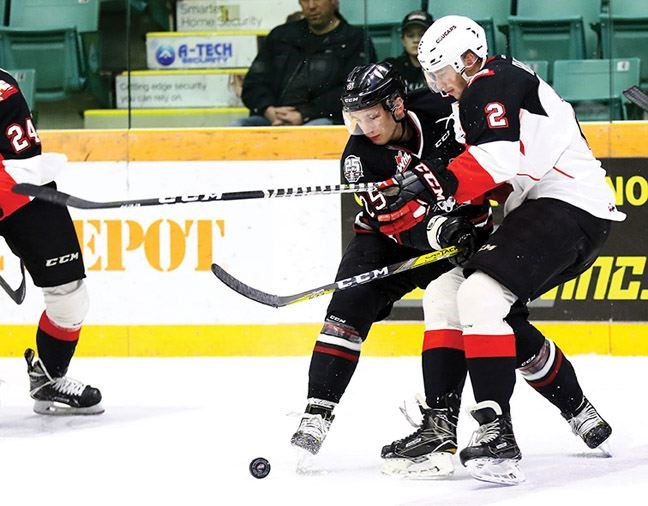 SPORT-cougars-synopsis_2222.jpg