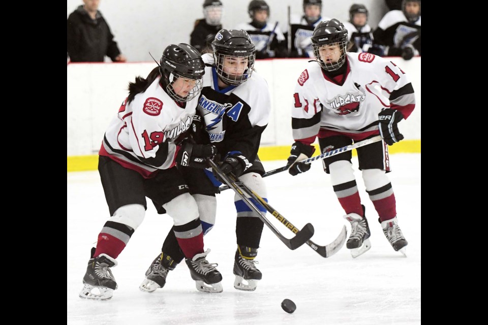 The Burnaby Wildcats’ Madison Yip, at left, and Sarah Warren battle a Langley rival for possession during recent girls bantam C action at Planet Ice. The Burnaby girls hockey program continues to grow, and will host a Come Try Hockey event this weekend at Kensington Park Arena. For more info visit www.burnabyminor.com.