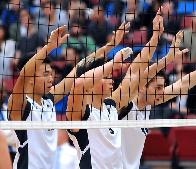 Blues volleyball