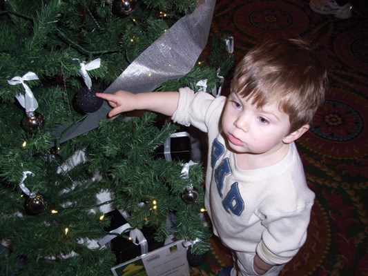 Two-year-old Carter Bryant Thomas couldn't get enough of the Festival of Trees ongoing at the Fairmont Empress Victoria.