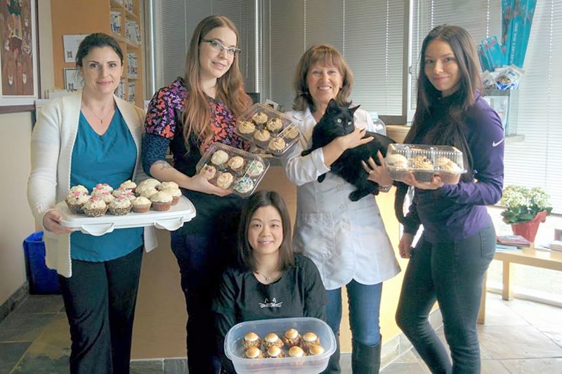 cupcake day