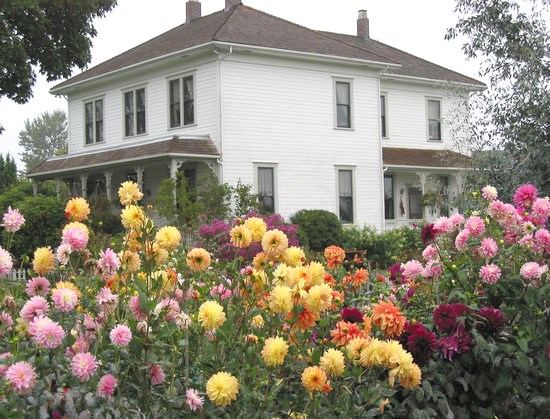 London Heritage Farm was built in the 1880s and today is one of the city’s popular historical sites, which includes a spectacular garden full of dahlias that were tended by Bill London, a descendent of the farm’s original family. Bill London passed away Feb. 1. Photo submitted