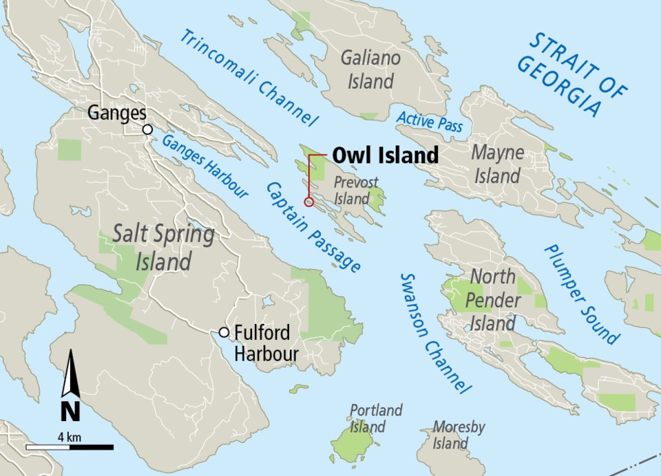 Map - Owl Island