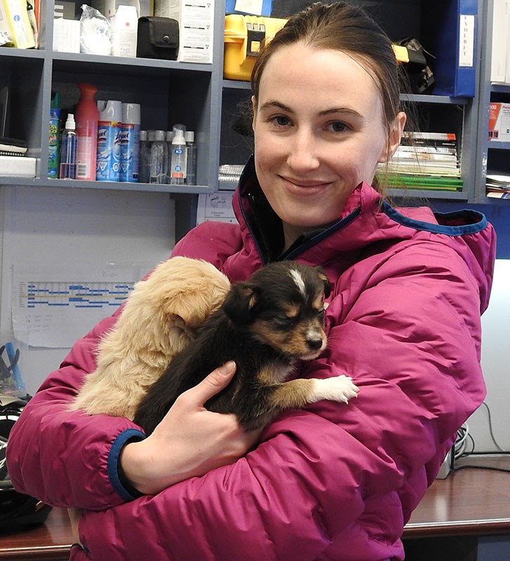 lynn lake RCMP const Lindsay evans with rescued pups