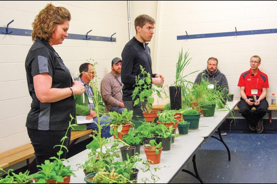 CanoLAB and SoyLAB attendees get a crash course in weed identification in Dauphin March 15.