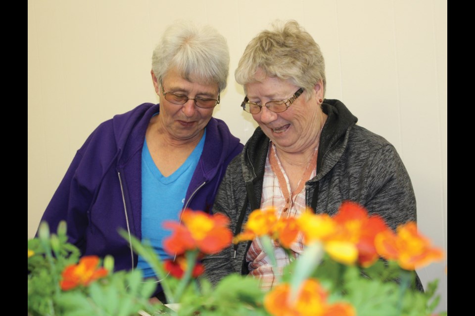 The Laughing Ladies: Friends Marilyn Clayton of Elkhorn and Florence Hutchinson of Virden share a laugh at the plant sale and lunch at Lions Hall on Thursday, May 17.
