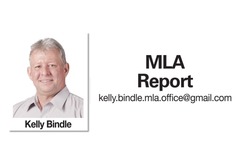 MLA Report (image)