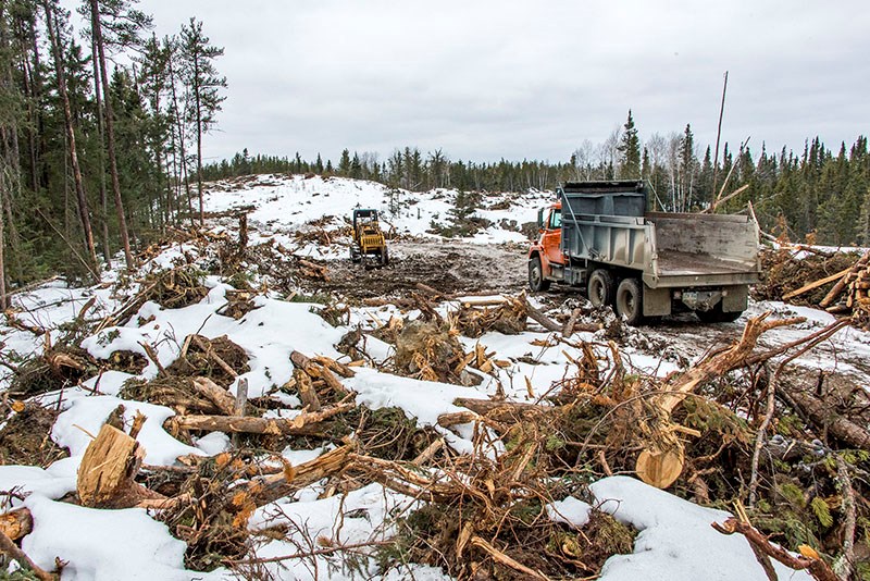 A Wilderness Committee-commissioned opinion poll found that 70 per cent of Manitobans support a ban