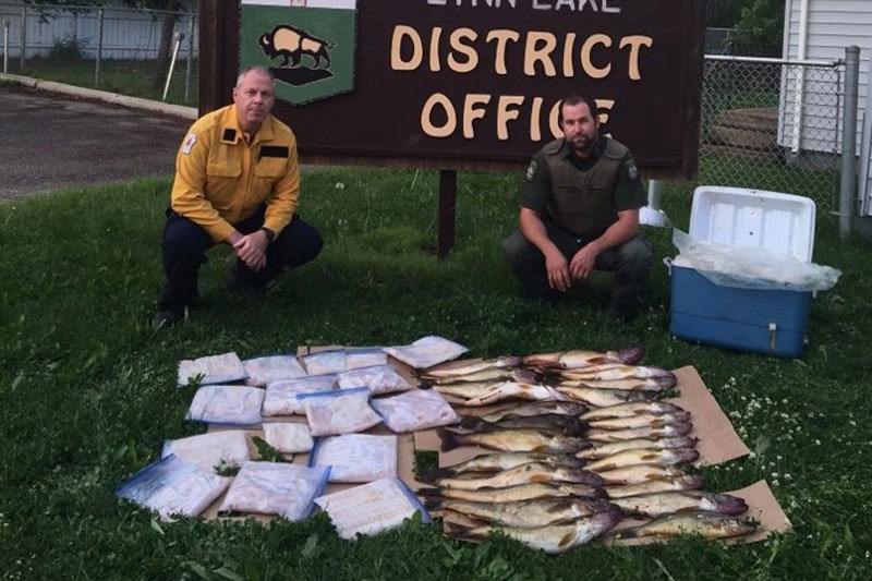 Northeast region conservation officers seized 122 walleye in late June from four Oklahoma fishers wh