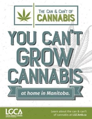 can and cant of cannabis campaign