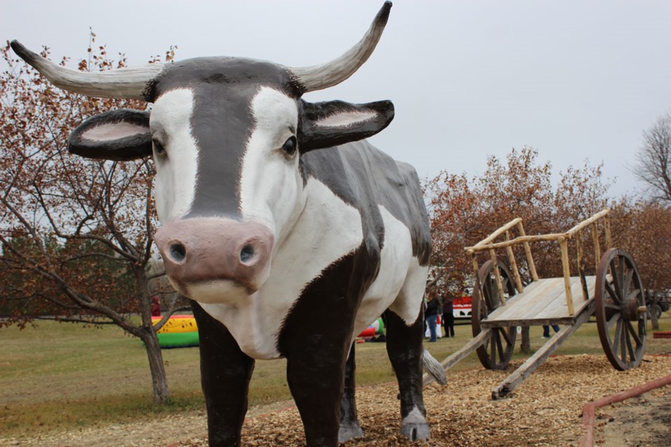 Isaac the Ox and his cart, restored and given pride of place in Oak Lake.