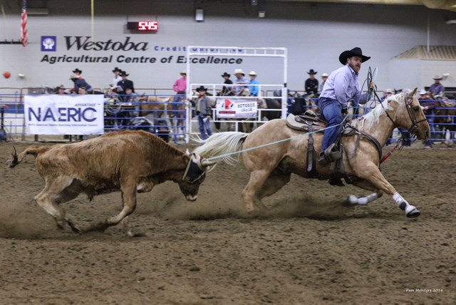 Tel Flewelling of Lacombe, Alta. and his five-year-old registered Quarter Horse put up consistent scores in each round on the head horse side, to edge out the competition by only 12 points overall. The flashy palomino gelding earned a $2,340 pay cheque.
