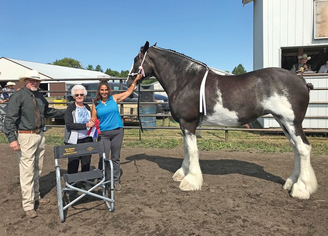 Supreme Champion Draft Horse, Banga’s Reba (Banga Clydes) receives the Ken Brown Memorial award resented by Bertha Brown. (show results in Aug. 9 paper)