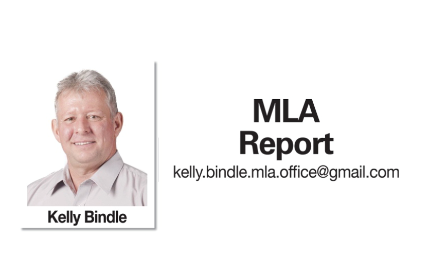 Kelly Bindle (MLA Report)