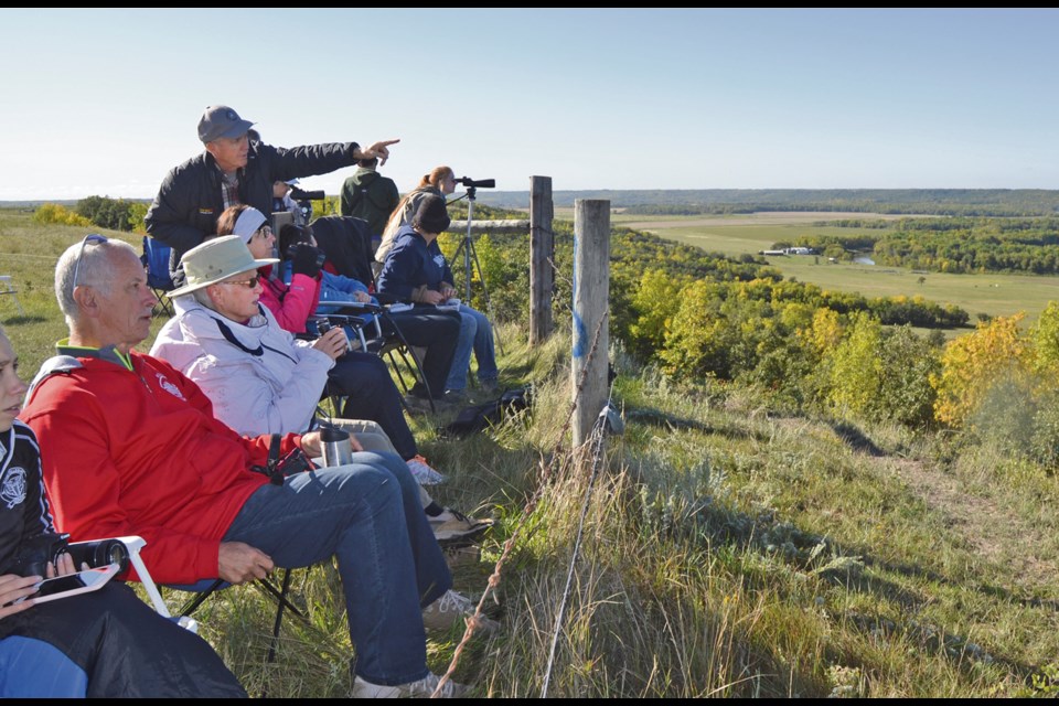 Members of the Westman Naturalists observing hawks and other birds from a lookout point on Errol Road north of Virden last Sunday.