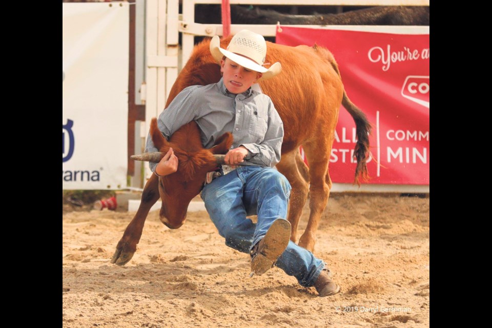 Younger brother Lane is a five-event junior high cowboy shown wrangling a steer in chute dogging.