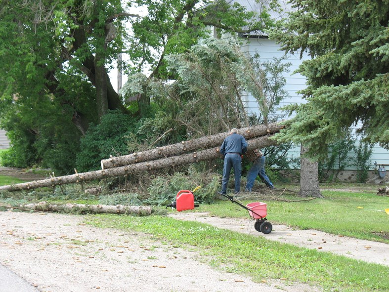 Residents, friends and neighbours in Elkhorn worked to clean up the damage after a storm July 12. Chainsaws were the required tools to cut the many downed trees throughout town.