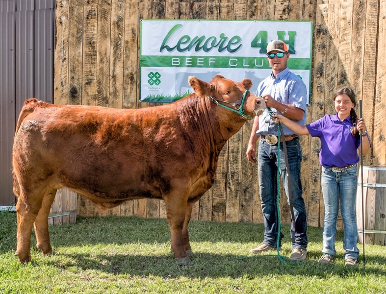 Grand Champion Steer – Owned/shown by Casey George