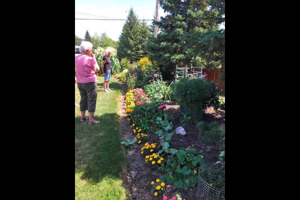 Community friends tour Marg Boyd's garden.