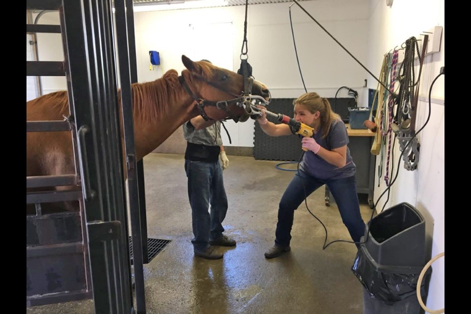 Veterinarian in Empire, CA