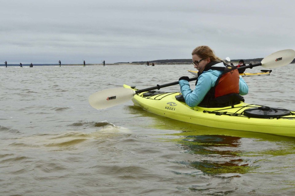 Winnipeg Free Press reporter Sarah Lawrynuik has a chance to paddle alongside belugas as they social