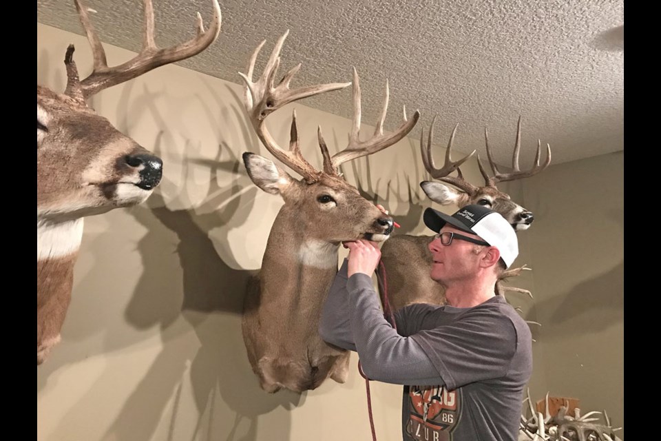 Cody Denbow pays attention to details as he finishes a mounted whitetail deer head. Each one is unique.