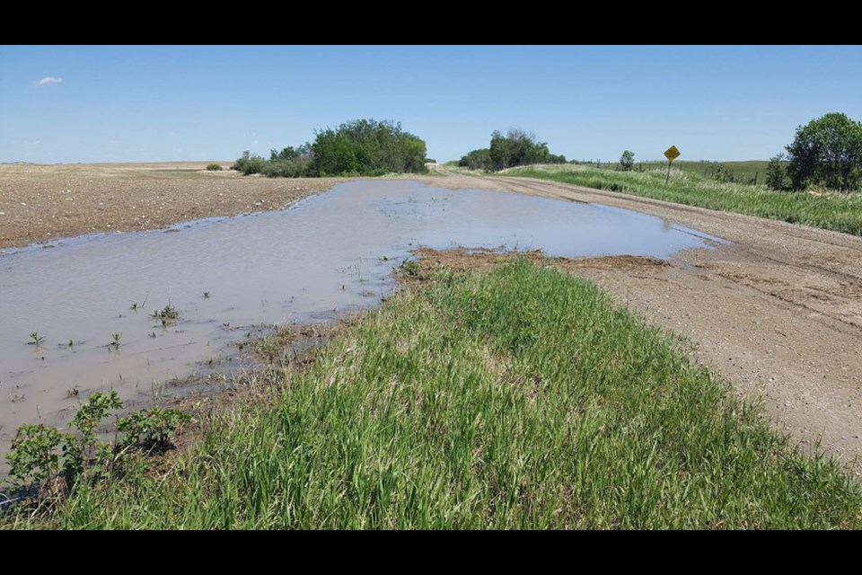 The seasonal portion of RD 55N, off Woodnorth Road, is usually dry as a bone during summer but by Saturday, June 12, rain water was spilling from this section onto the road. Fields are full of water/puddles.