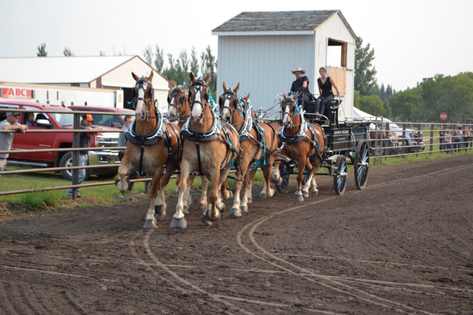 The Champion Six Horse Hitch of the 2021 Virden Draft Horse Show, exhibited by Johnson Belgians of Unity, Saskatchewan and driven by Zeph Lariviere.