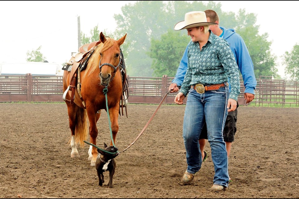 Hayley Moats from Riceton, SK with winning dog, puppy Kiera and Quarter Horse/Welsh pony cross, Crystal Springs Buff Twiggy. The Boston bull terrier is leading the horse out of the show ring.