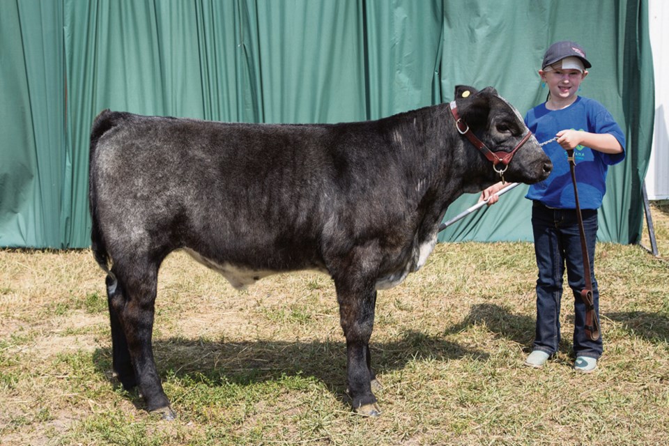 Champion calendar calf was Bree Russell with Pipestone Beef Club.