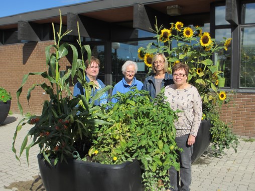 Joan, Grace, Barb and Diane of Thompson’s Retired Teachers’ Association of Manitoba