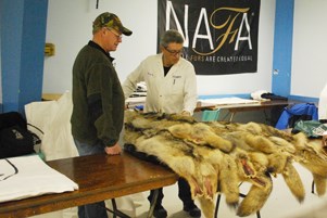 david bewick north american fur auctions dec 18 2015