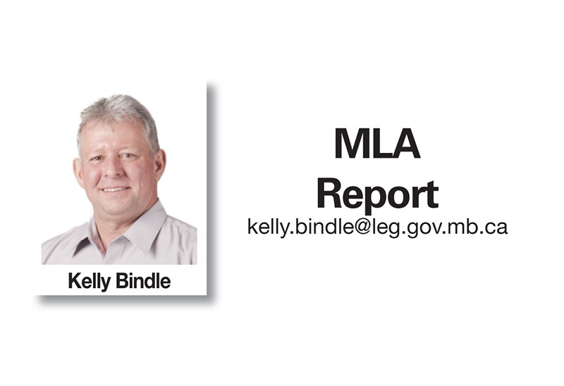 new kelly bindle mla report header