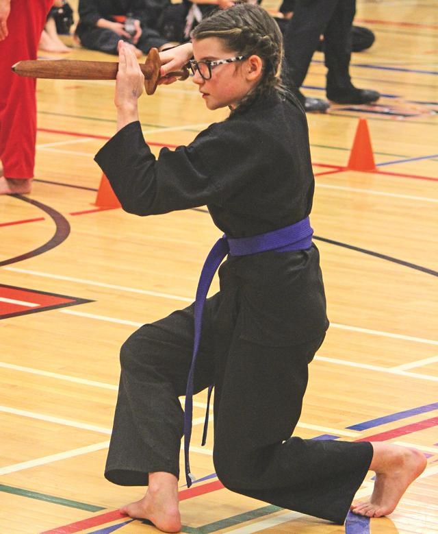 Vilcu's karate