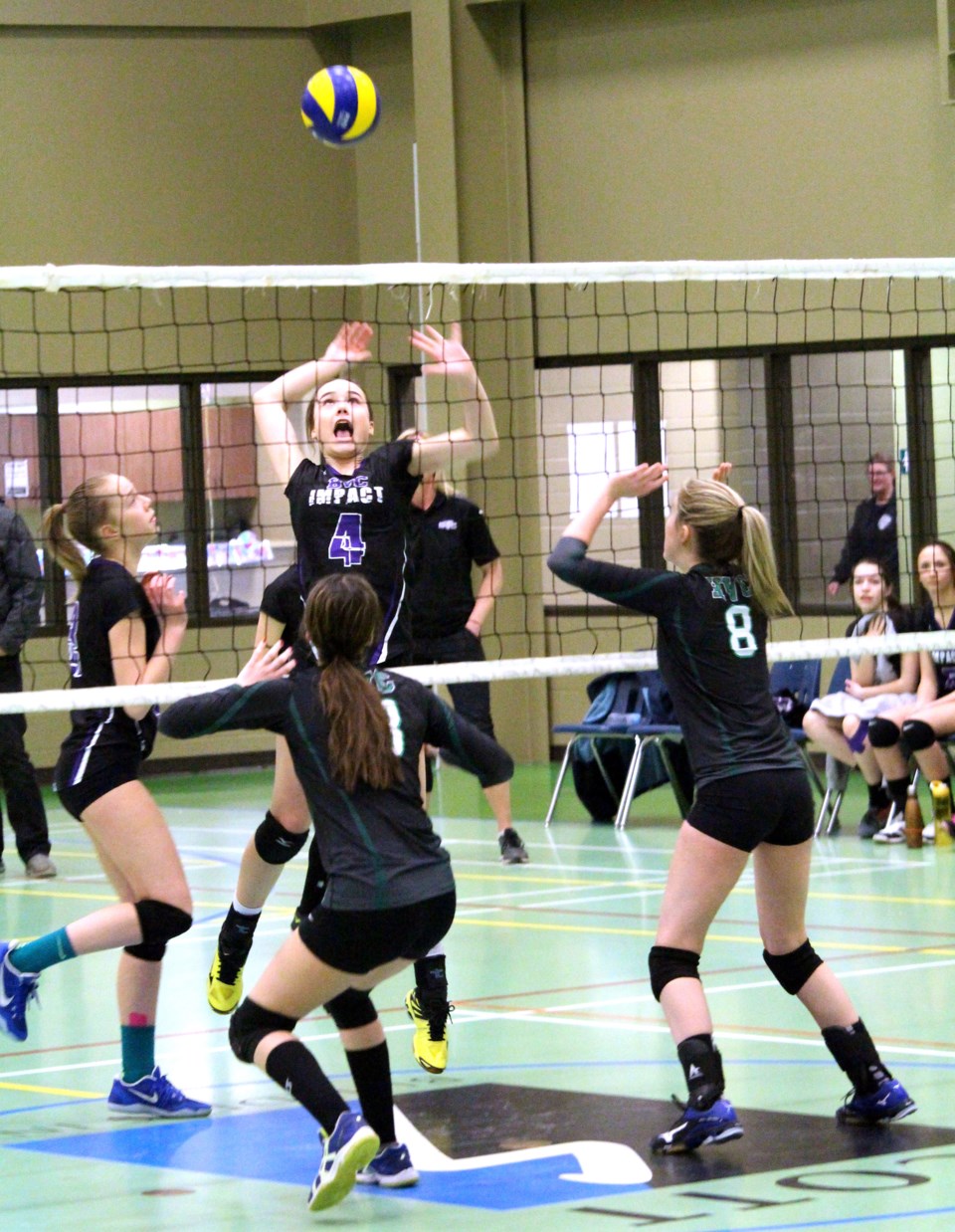 BVC Impact Home Tournament
