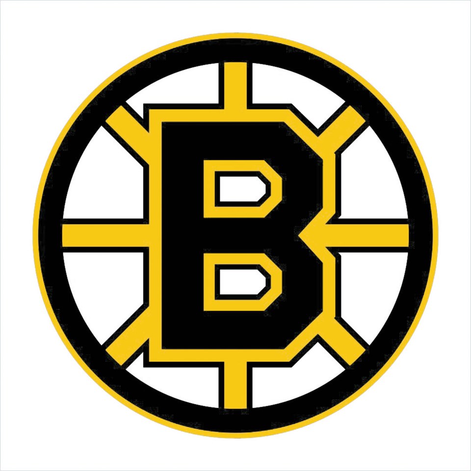 Estevan Bruins logo
