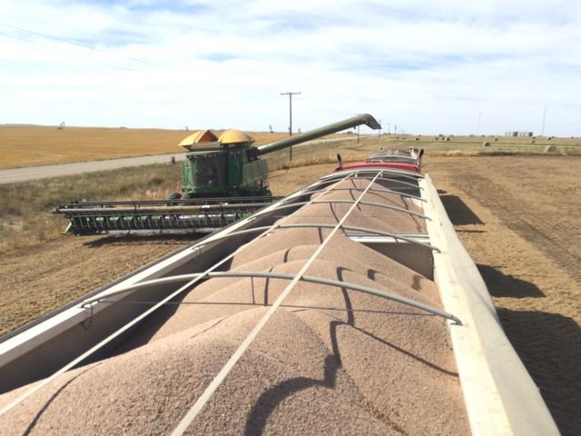 Canadian foodgrains
