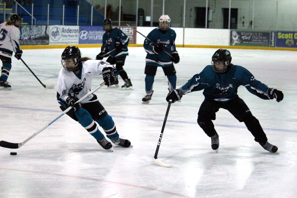 Sharks Spring Camp