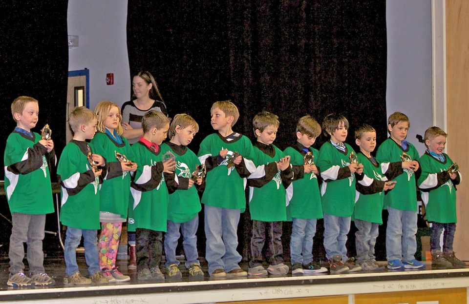 Naicam Novice Vikings