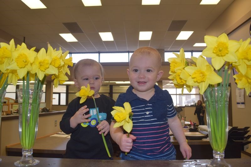 Visiting the Affinity Credit Union in Kamsack last week, Avery Bielecki, left, and Owen Rudy were happy to find a few of the many bouquets of blooming daffodils that had been purchased from the Hiawatha chapter of the Eastern Star at Kamsack as a fundraiser for the Canadian Cancer Society.