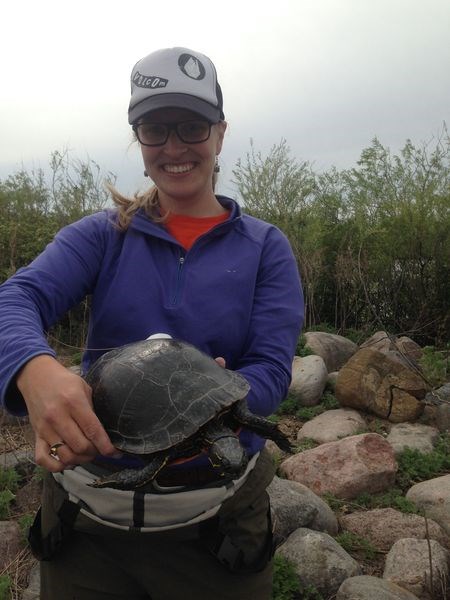 Kelsey Marchand shows the fantastic size of a western painted turtle.