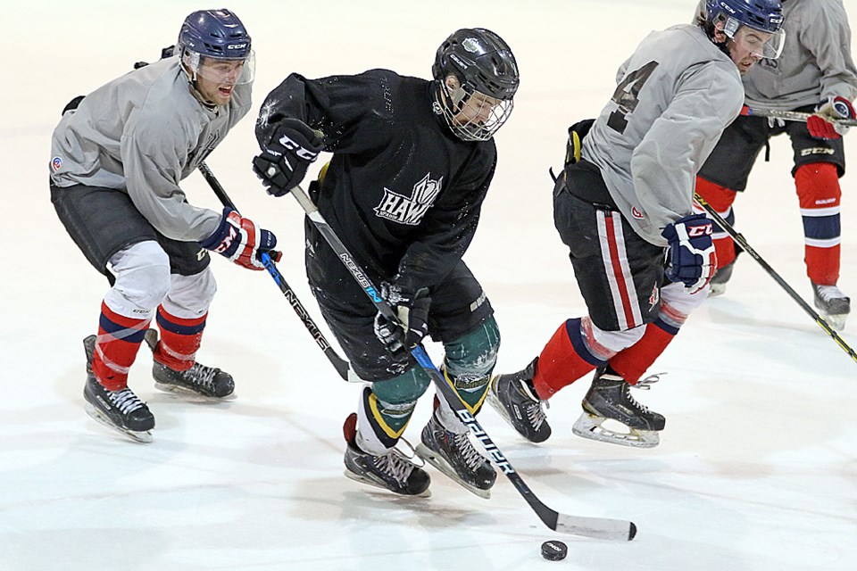 Hawks Camp