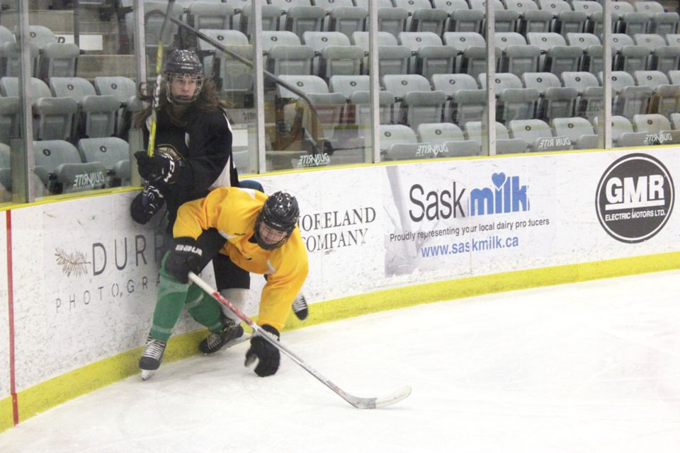 Bruins pic