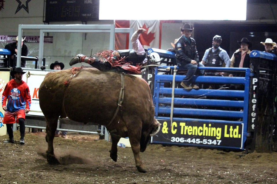Bull Riding
