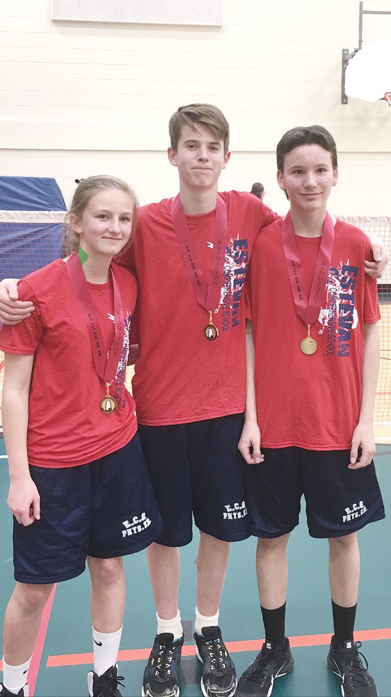 Badminton districts
