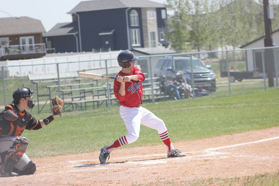 Twins baseball pic