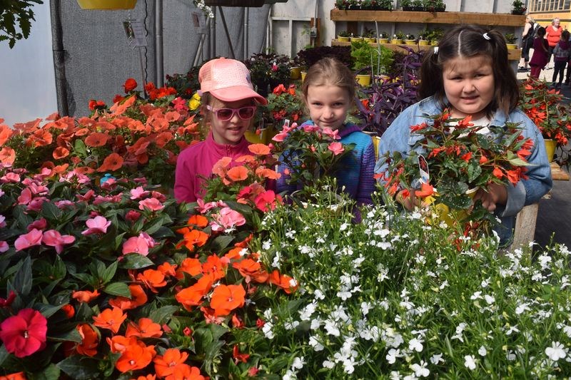 Photographed with some of the blooming plants in a greenhouse at Grandpa’s Garden on May 12 were Victoria School Grade 1 students, from left, Eden Rushton, Tyalor Thurlow and Tess Key.