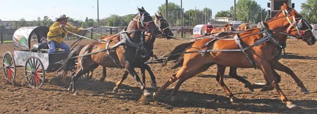 Chuckwagon races