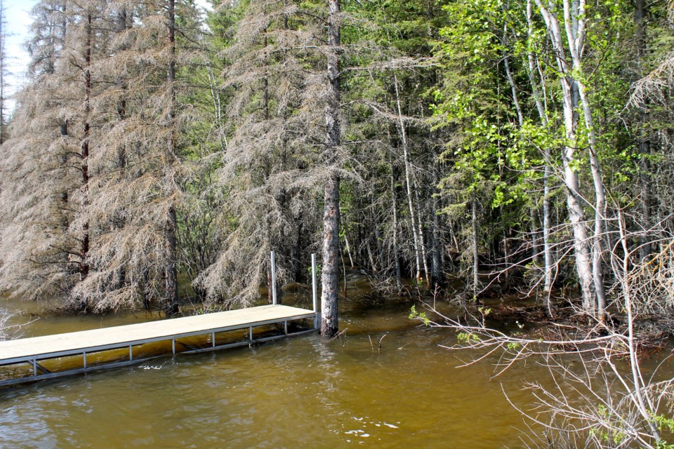 Meeting Lake Water