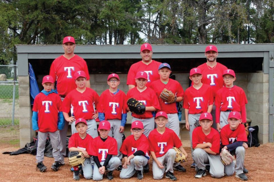 Mosquito Team